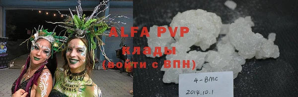 мдпв Богородск