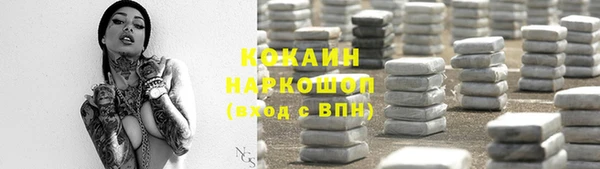 мдпв Богородск