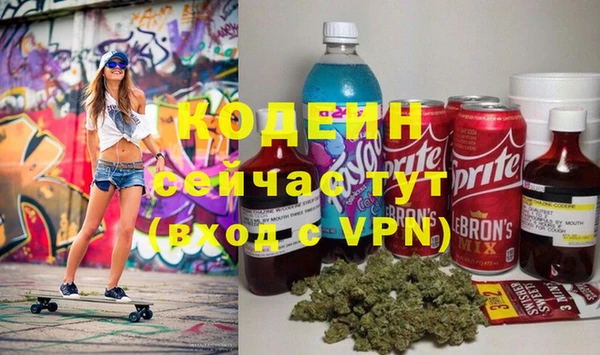 мдпв Богородск