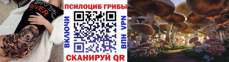 Псилоцибиновые грибы MAGIC MUSHROOMS сколько стоит Киренск